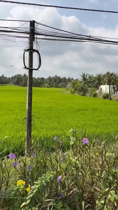 Đất mặt tiền đường Trần Văn Ẩn, Trà Vinh 4696m² - Cơ hội đầu tư hấp dẫn!