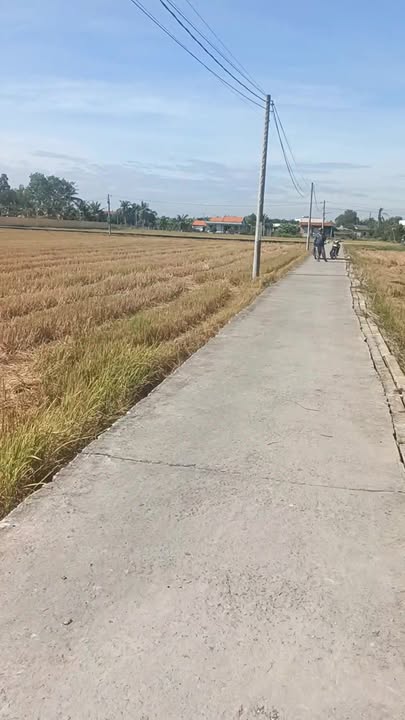 Đất thổ cư 3100m² xã Nhựt Tảo, Tân Trụ - Giá 2.999 tỷ, đầu tư sinh lời!