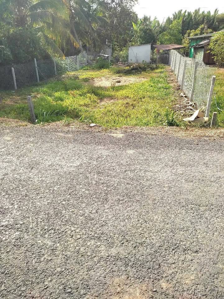 Đất nền liền kề tại xã Hòa Lộc, Vĩnh Long - Diện tích 110m², chỉ 280 triệu!