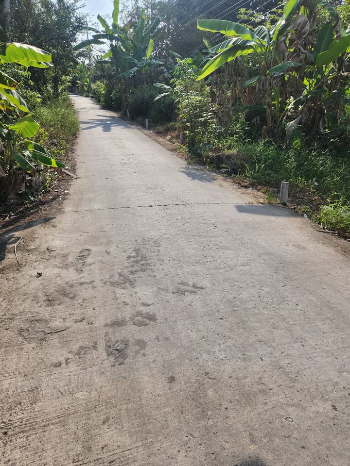 Đất nền thổ cư 300m² tại Đê bao Xáng Xà No, Giá chỉ 1.95 tỷ - Cơ hội đầu tư hấp dẫn!