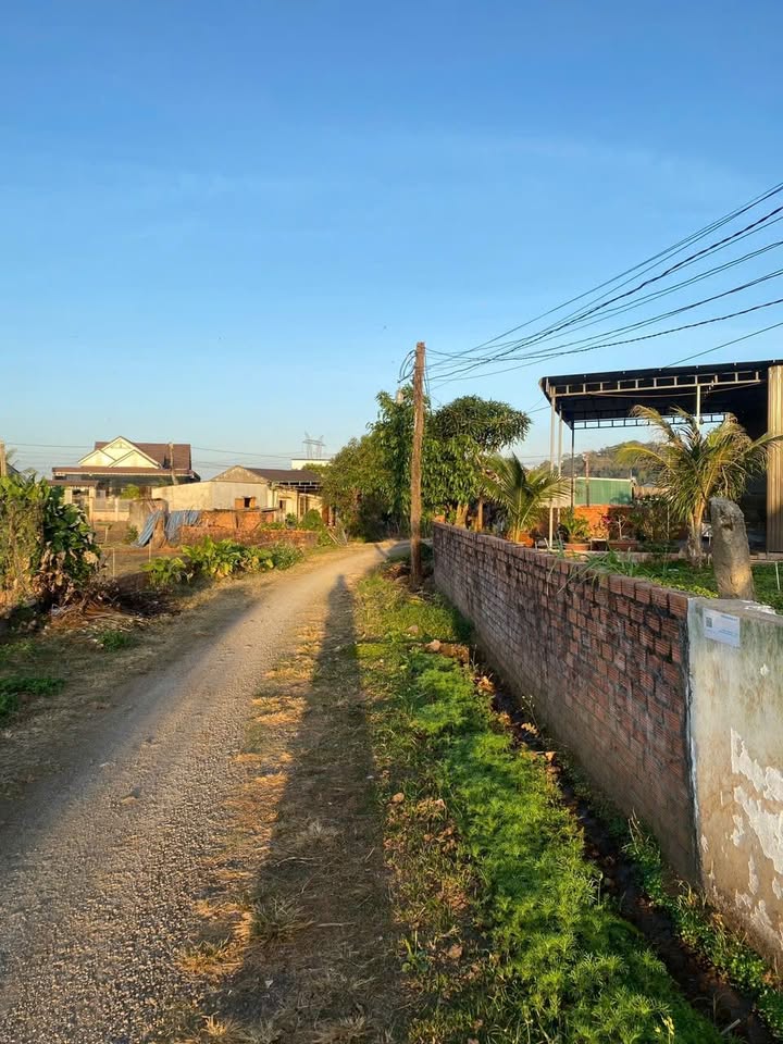 Đất nền xã Ea Tar, huyện Cư M'gar 140m² giá 375 triệu - Đầu tư sinh lời ngay!