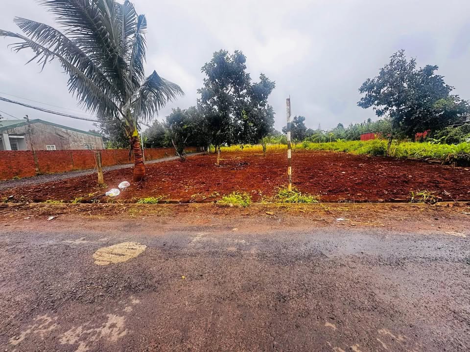 Đất mặt tiền Nguyễn Thị Định, xã Ea Đar, 125m² - Cơ hội đầu tư hấp dẫn!