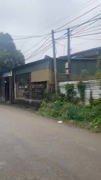 Đất thổ cư 100% tại Hưng Long, Yên Lập 219m² - Kinh doanh sầm uất!