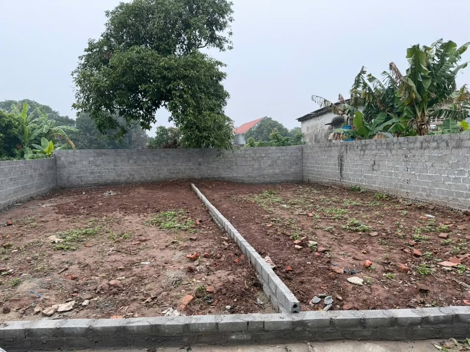 Đất thổ cư Phan Sào Nam, 57m² giá 400 triệu - Đầu tư sinh lời ngay!