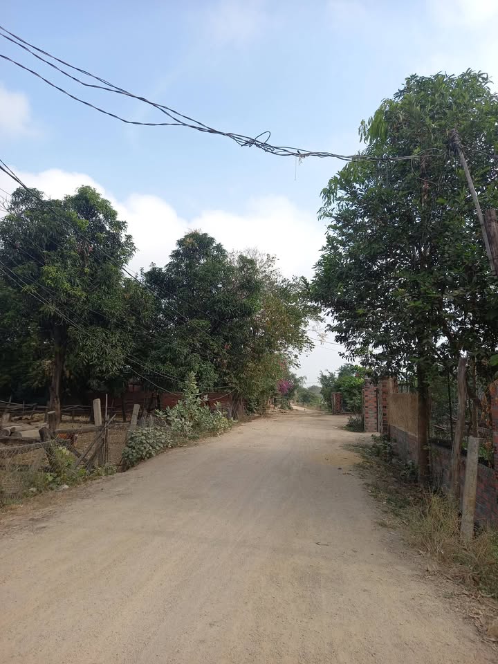 Đất thổ cư 100m² tại TDP7, Xã Phú Thiện, Gia Lai - Vị trí đắc địa, giá thỏa thuận!