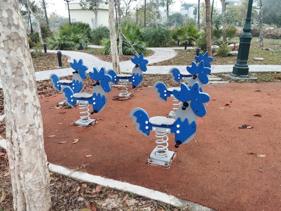 Đất ở Bỉm Sơn 250m² giá 1.2 tỷ - Cơ hội đầu tư tuyệt vời!