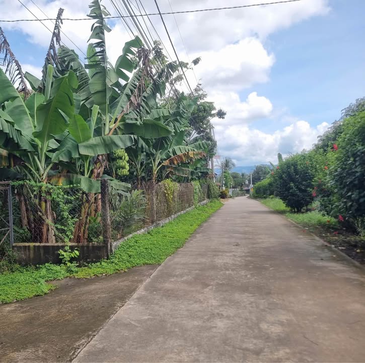 Đất nền xã Phú Lộc 1000m² giá 850 triệu - Đường thông ra khu công nghiệp