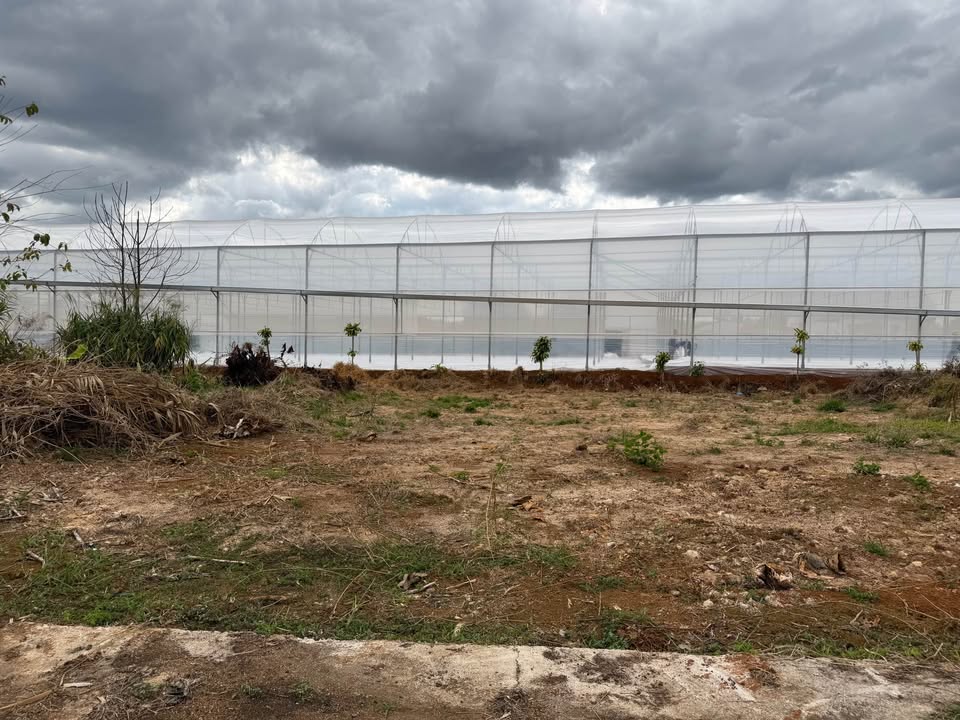 Đất hẻm 134 Phùng Hưng, Phường Lộc Tiến, TP. Bảo Lộc 230m² giá 1.54 tỷ - Đất thổ cư, xây dựng tự do!