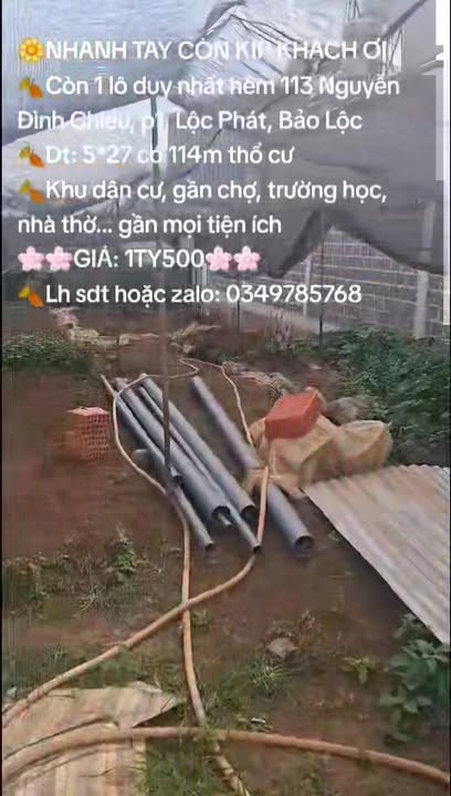 Đất thổ cư Bảo Lộc 135m² giá 1.5 tỷ - Cơ hội đầu tư hiếm có!