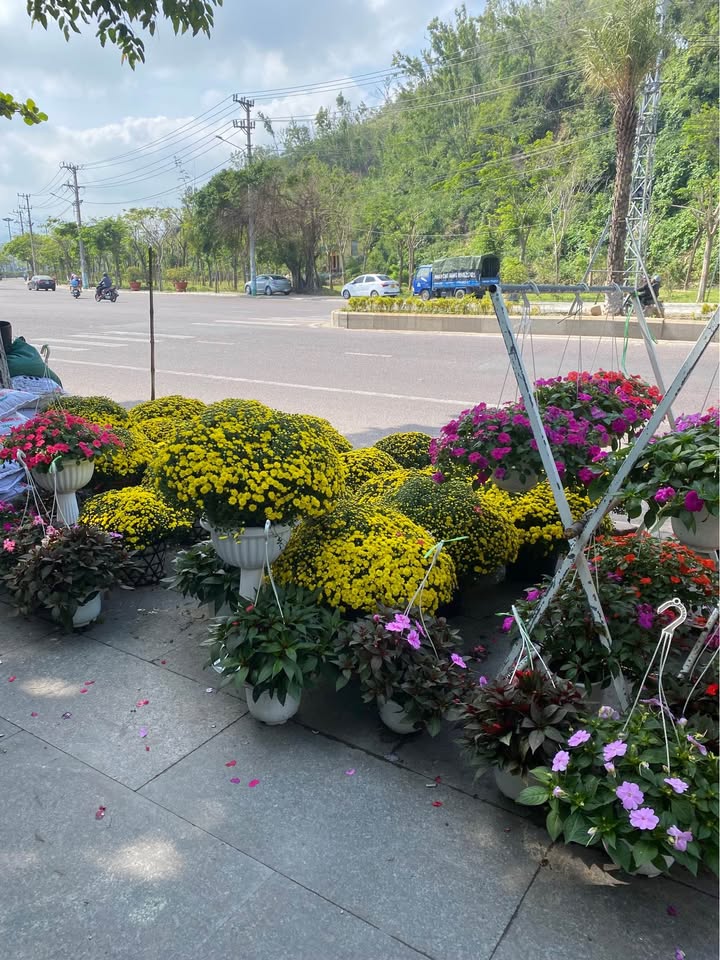 Nhà mặt tiền Ghềnh Ráng 80m² giá 4 tỷ - Sổ hồng chính chủ, thiết kế hiện đại