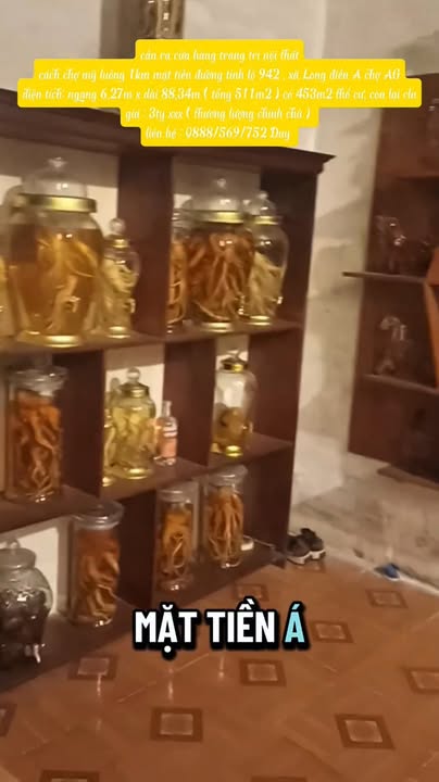 Cửa hàng FrontHouse mặt tiền đường tỉnh lộ 942, An Giang 511m² - Cơ hội kinh doanh tuyệt vời!