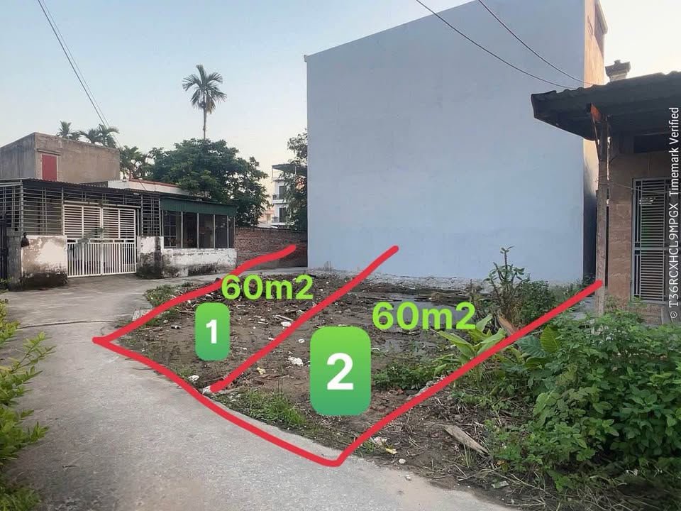 Đất nền Hồng Thái, Hải Phòng 120m² - Ô tô vào tận nơi!