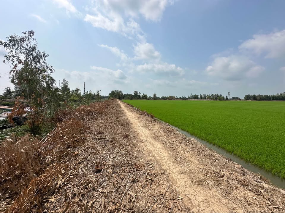 Đất ruộng 54,000m² mặt tiền 180m - Giá chỉ 7 tỷ VND!