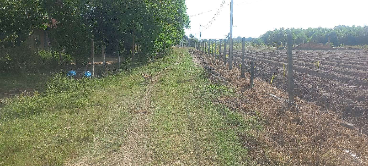 Đất nền Phường Ninh Sơn, Tây Ninh 1500m² giá 550 triệu - Đầu tư sinh lời ngay!