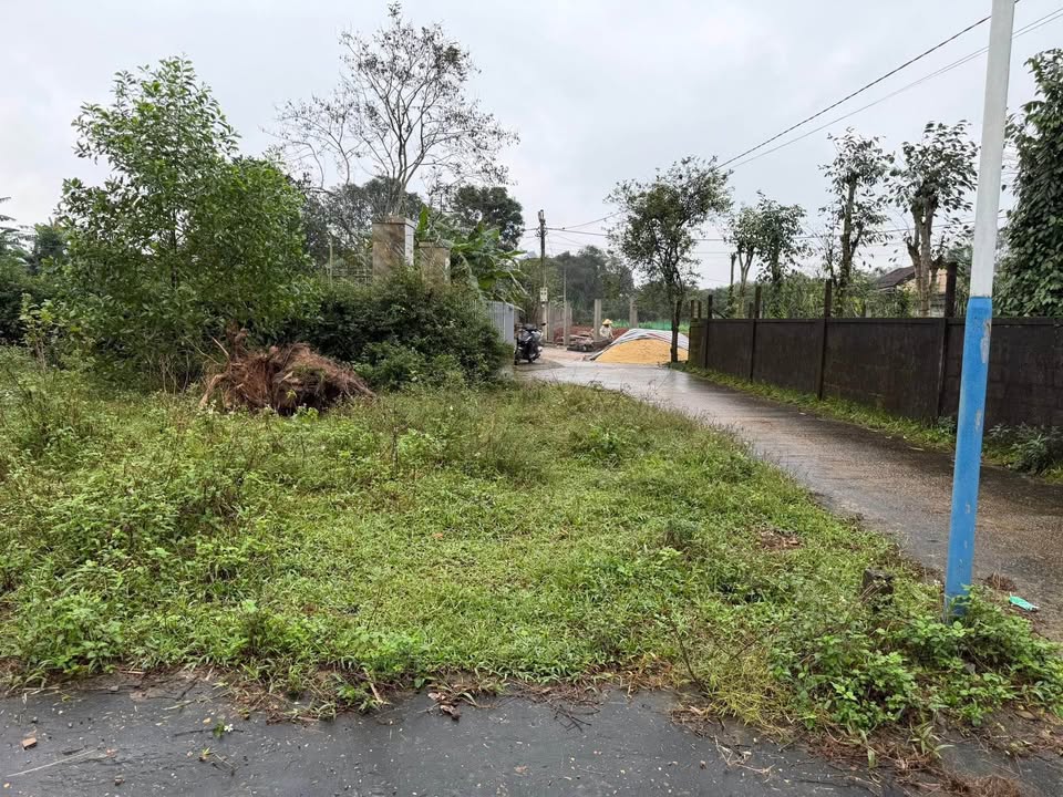 Đất nền xã Tân Mỹ, huyện Vĩnh Linh 168m² giá 100 triệu - Vị trí cao, không ngập lụt!