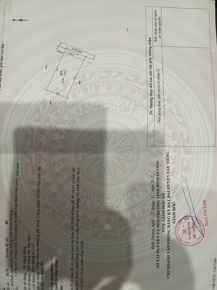 Đất nền tại Định An, Dầu Tiếng 1320m² chỉ 900 triệu - Sổ hồng chính chủ!