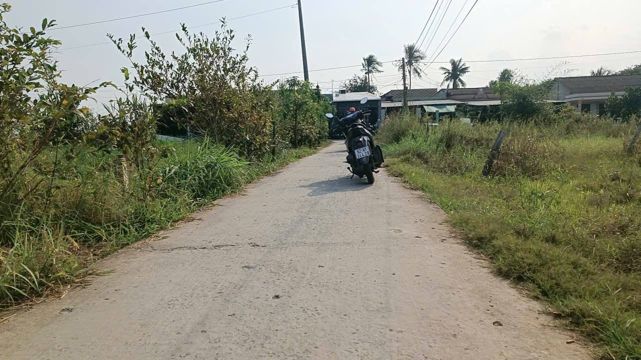 Đất thổ cư Hàng Cau Vua Tân Trụ 258m² giá 1.1 tỷ - Sổ hồng chính chủ!