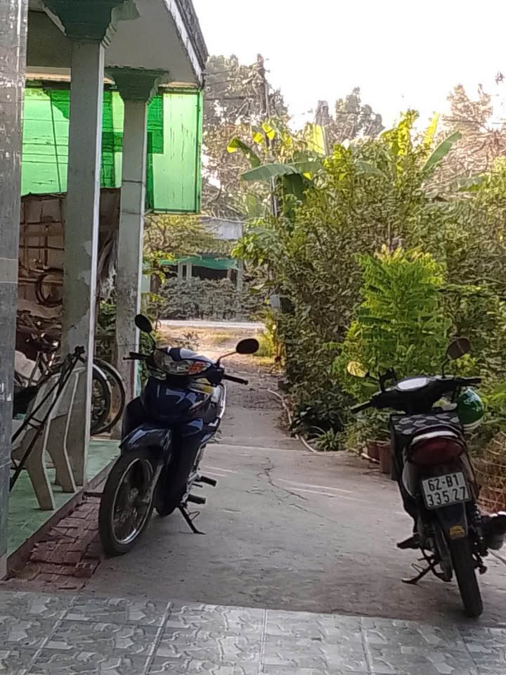 Đất nền Phường 6, TP Tân An 115m² giá 1.1 tỷ - Đầu tư sinh lời hấp dẫn!