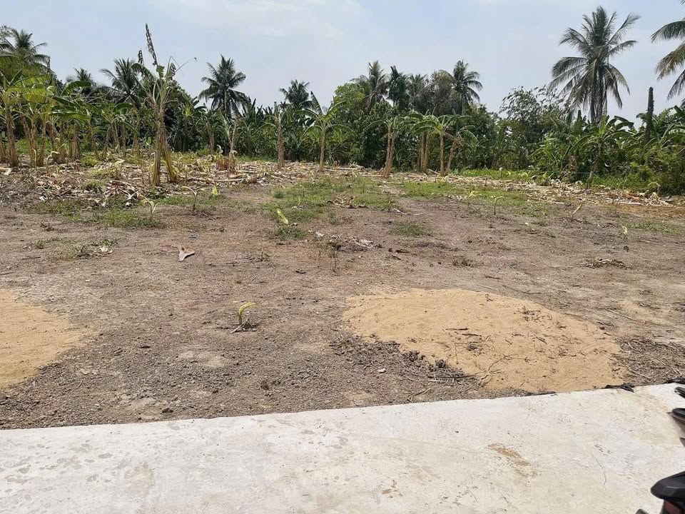 Đất vườn 500m² tại Tân Khánh - Giá chỉ 580 triệu - Cần bán gấp!