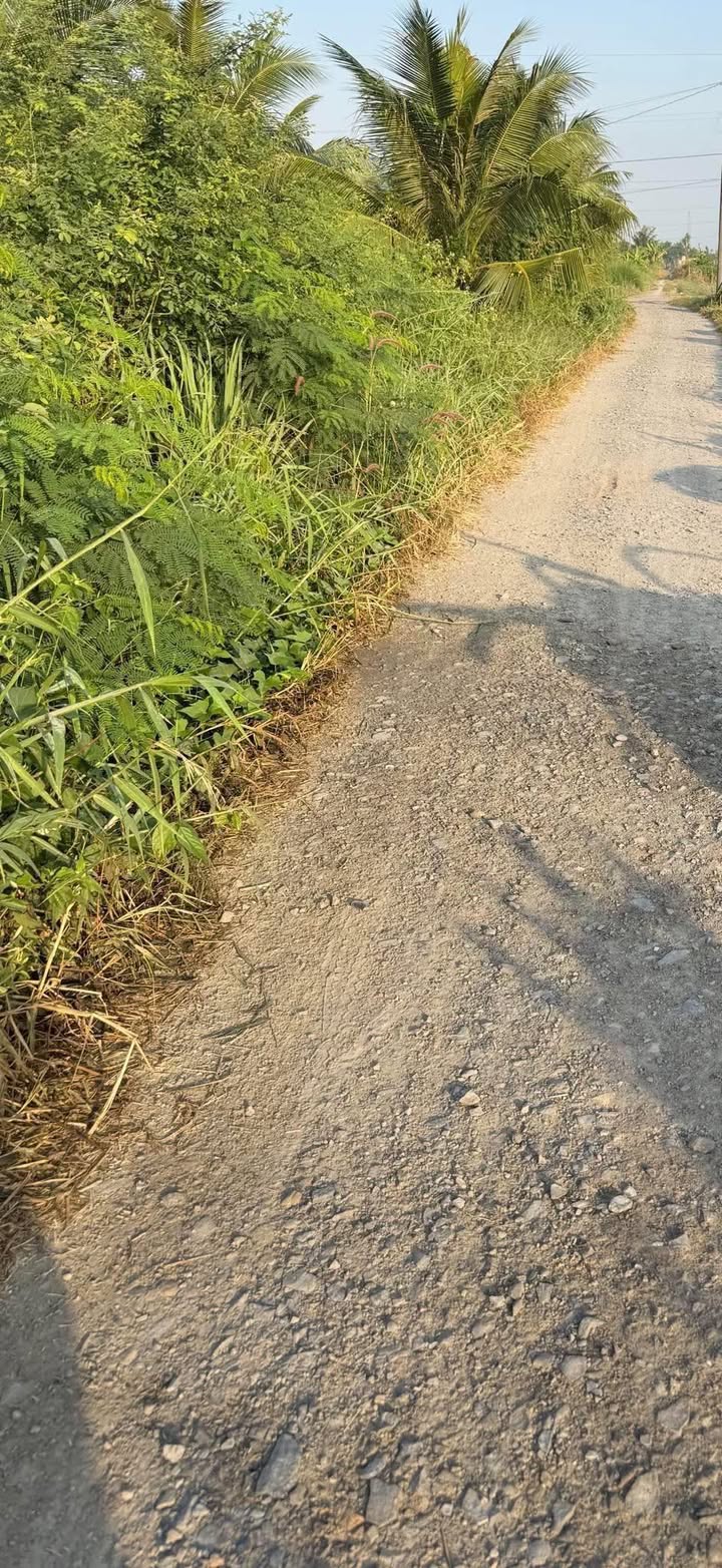 Đất Lúa Xã Vĩnh Công 1000m² giá 1.05 tỷ - Đường xe tải tới đất