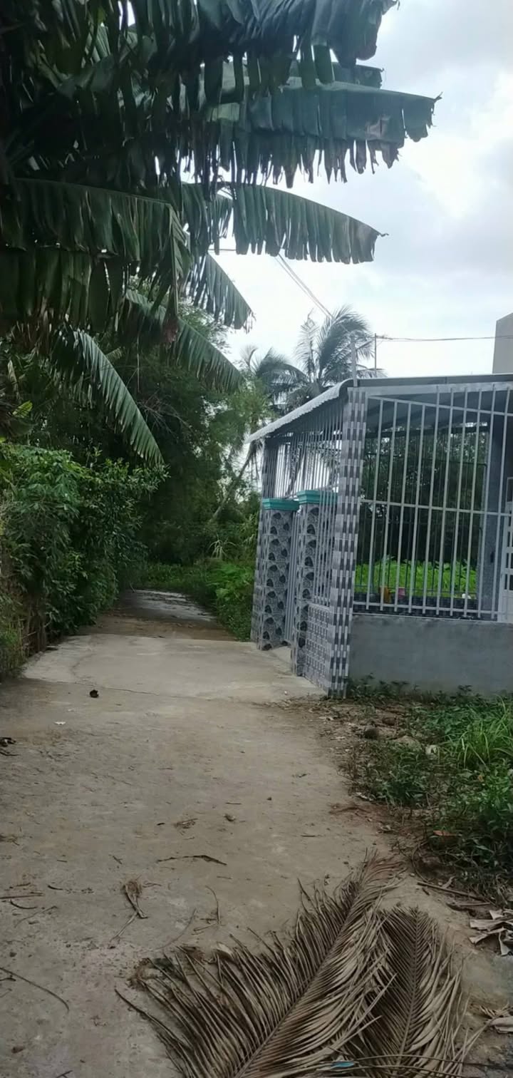 Đất thổ cư xã Nhựt Chánh Bến Lức 155m² giá chỉ 700 triệu - Cơ hội đầu tư hấp dẫn!