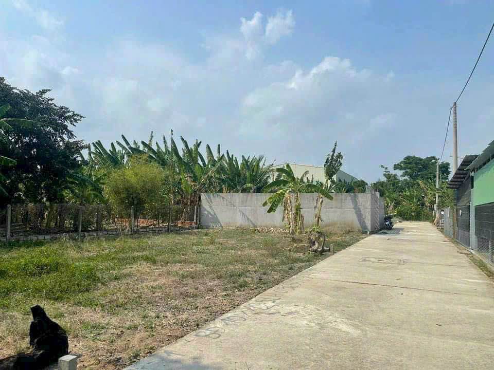 Đất thổ cư Nguyễn Hữu Thọ, Phường Bình Hưng Hòa, 117m² giá 2.5 tỷ - Vị trí đắc địa, ô tô vào tận nơi!