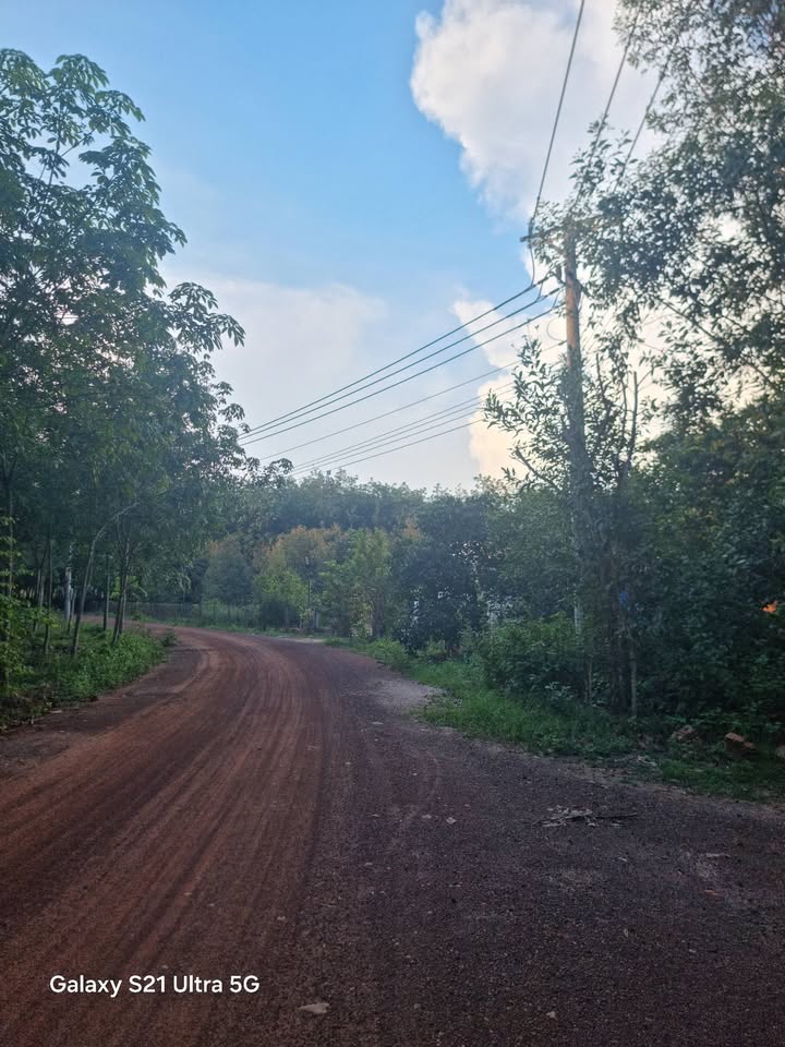 Đất nền Xã Phước Hòa, Huyện Phú Giáo, 6000m² giá 1 tỷ - Cơ hội đầu tư hấp dẫn!