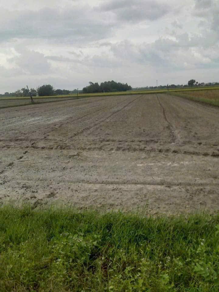 Đất Lộc Hưng, Trảng Bàng 3300m² giá 4.3 tỷ - Đường nhựa ô tô vào tận nơi!