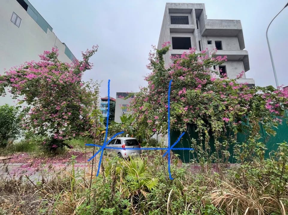 Lô đất áp góc tại dự án Cao Đức - Khúc Xuyên, 80m² giá 6 tỷ - Cơ hội đầu tư tuyệt vời!