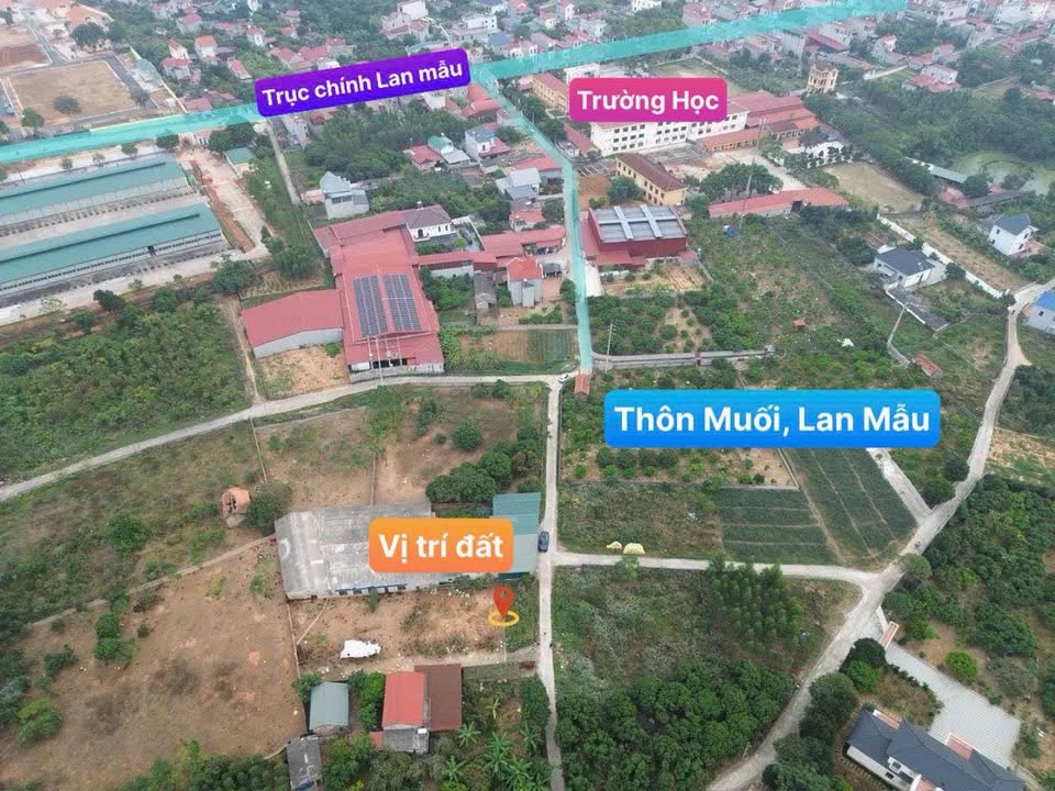 Đất thổ cư Thôn Muối, Xã Lan Mẫu, 96.9m² - Tiềm năng sinh lời cao!