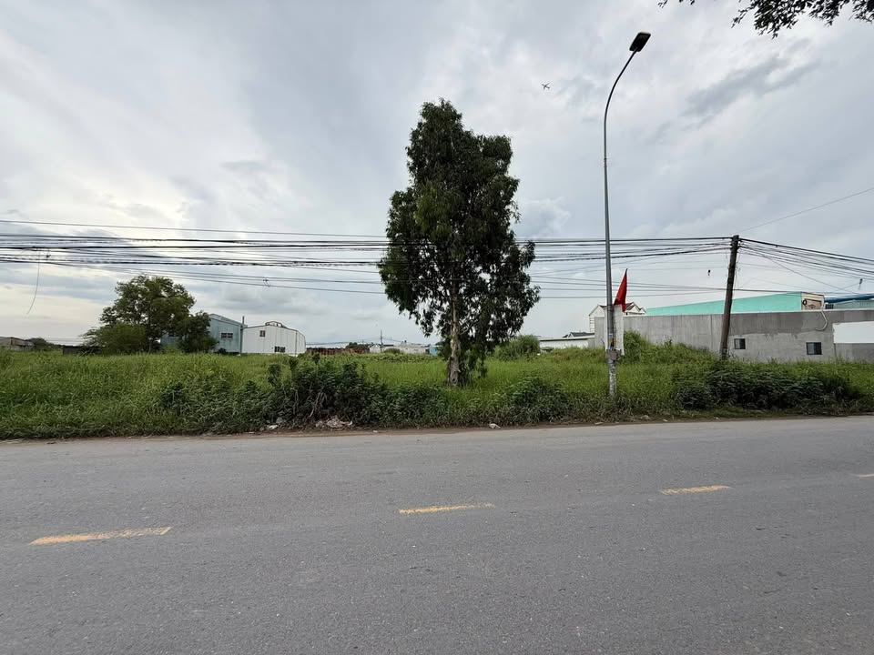 Đất nền mặt tiền Bùi Văn Ngọ, Đức Hòa Đông 1260m² giá 20 tỷ - Cơ hội đầu tư tuyệt vời!