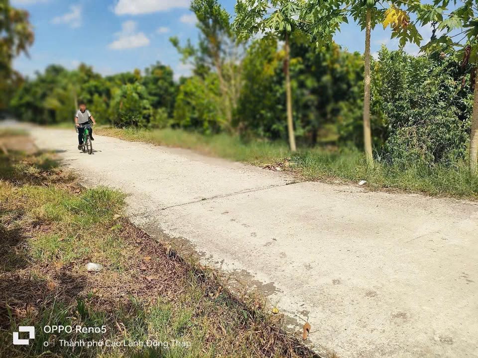 Đất nền Tân Chủ, Cao Lãnh 150m² giá 700 triệu - Tiềm năng phát triển lớn!