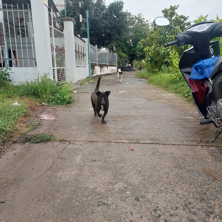 Đất thổ cư 157m² Phường 1, Sa Đéc giá 2 tỷ - Cơ hội đầu tư tuyệt vời!