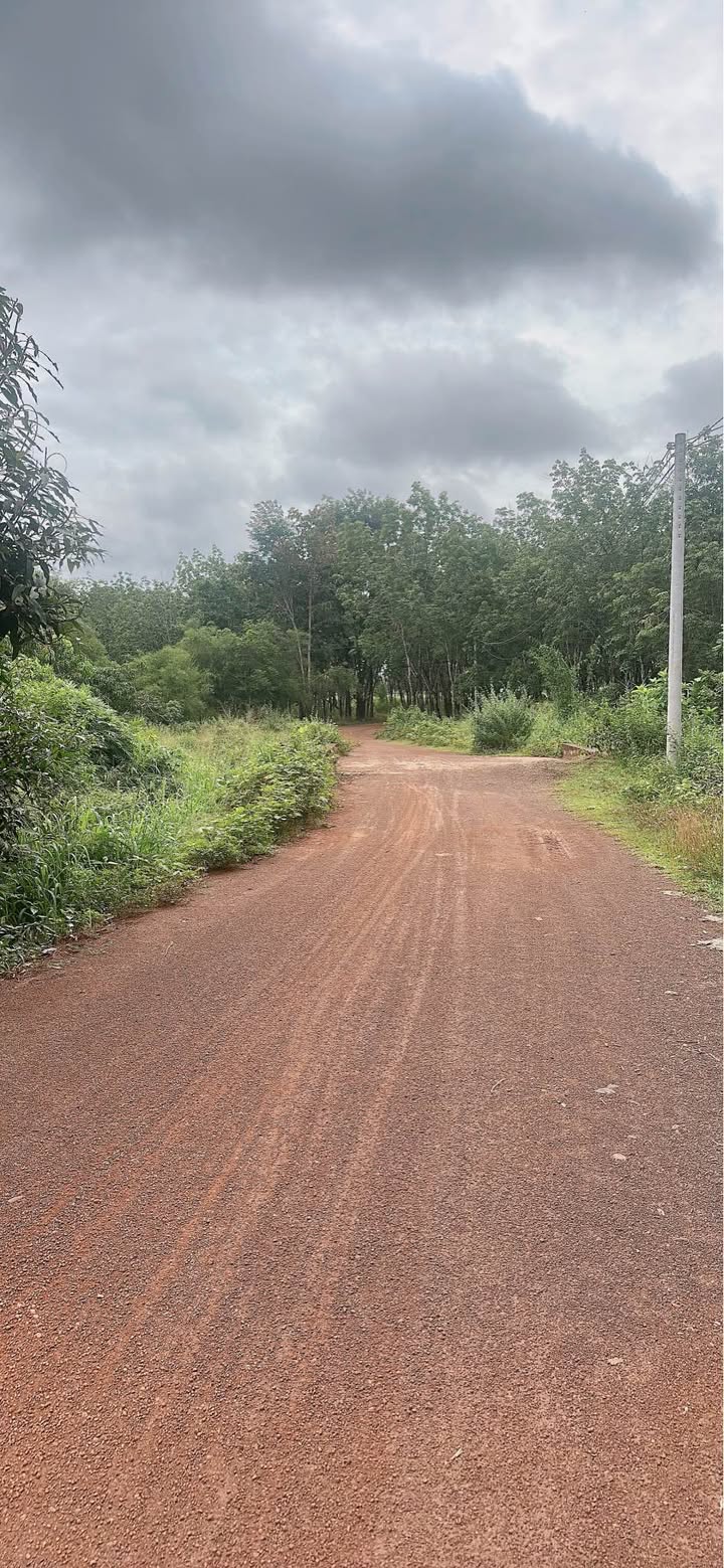 Đất nông nghiệp Lộc Hưng, Lộc Ninh 7000m² giá 1.5 tỷ - Cơ hội đầu tư sinh lời!