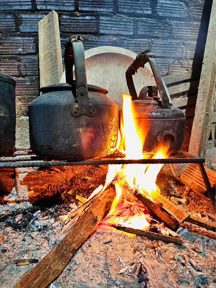 Đất nền mặt tiền Tỉnh Lộ 8, 150m² giá 3.69 tỷ - Cơ hội đầu tư hiếm có!