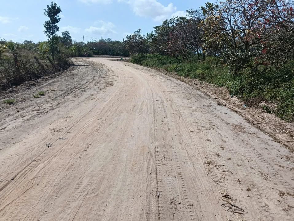 Đất nền Thị trấn Ea Knop - 1,2ha giá 1,45 tỷ - Đầu tư sinh lời cao!