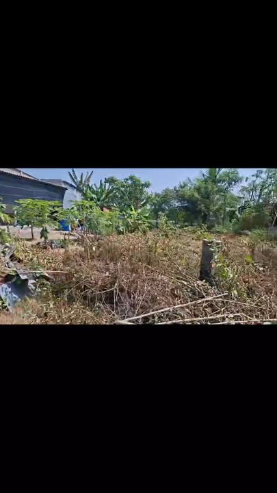 Đất thổ cư 255m² tại Xã Kiểng Phước, Gò Công Đông - Giá chỉ 450 triệu!