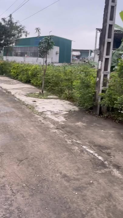 Đất nền thổ cư 280m² tại xã Xuân Thành, huyện Nghi Xuân - Giá thương lượng hấp dẫn!