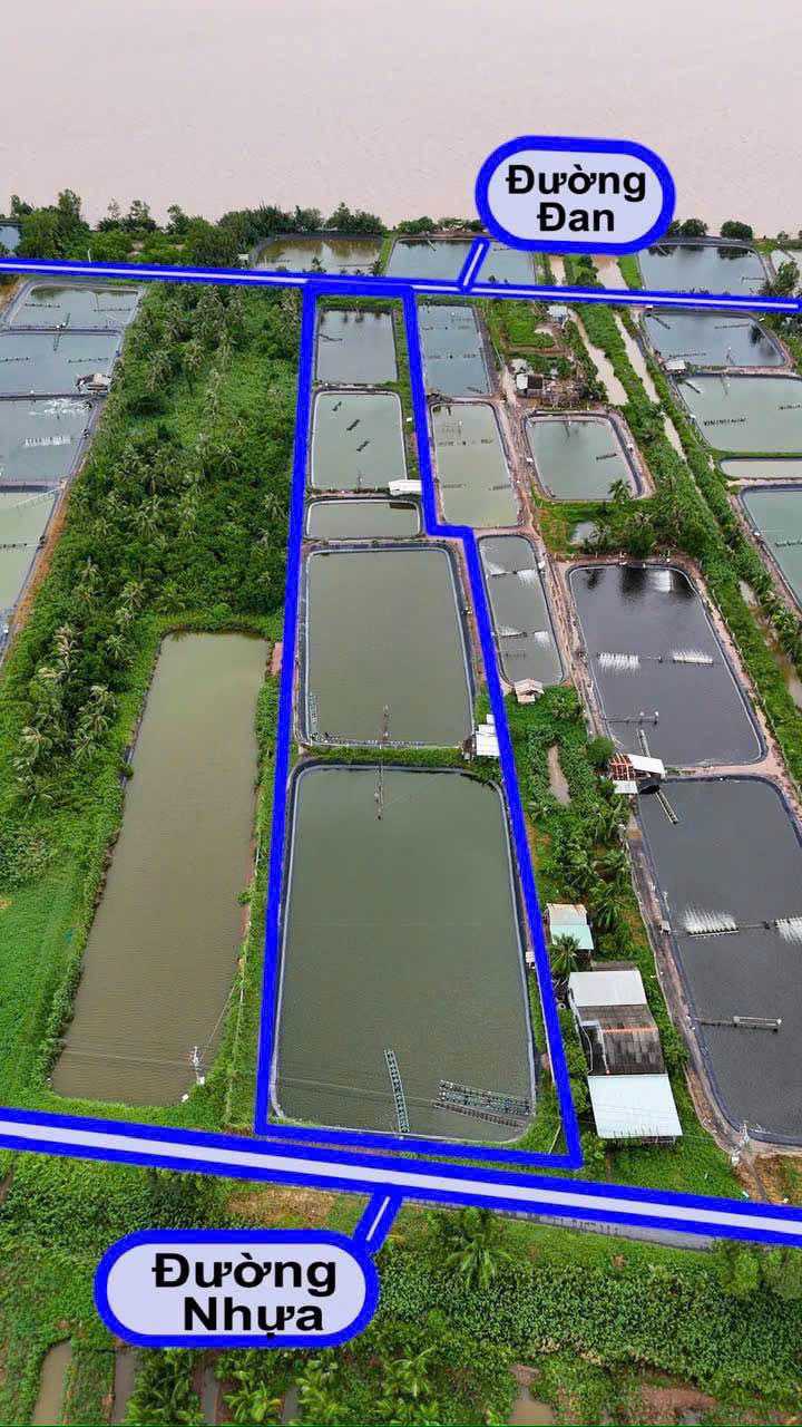 Đất nền Farm tại Tân Phú Đông, 10.000m² giá chỉ 2.5 tỷ - Cơ hội đầu tư hiếm có!