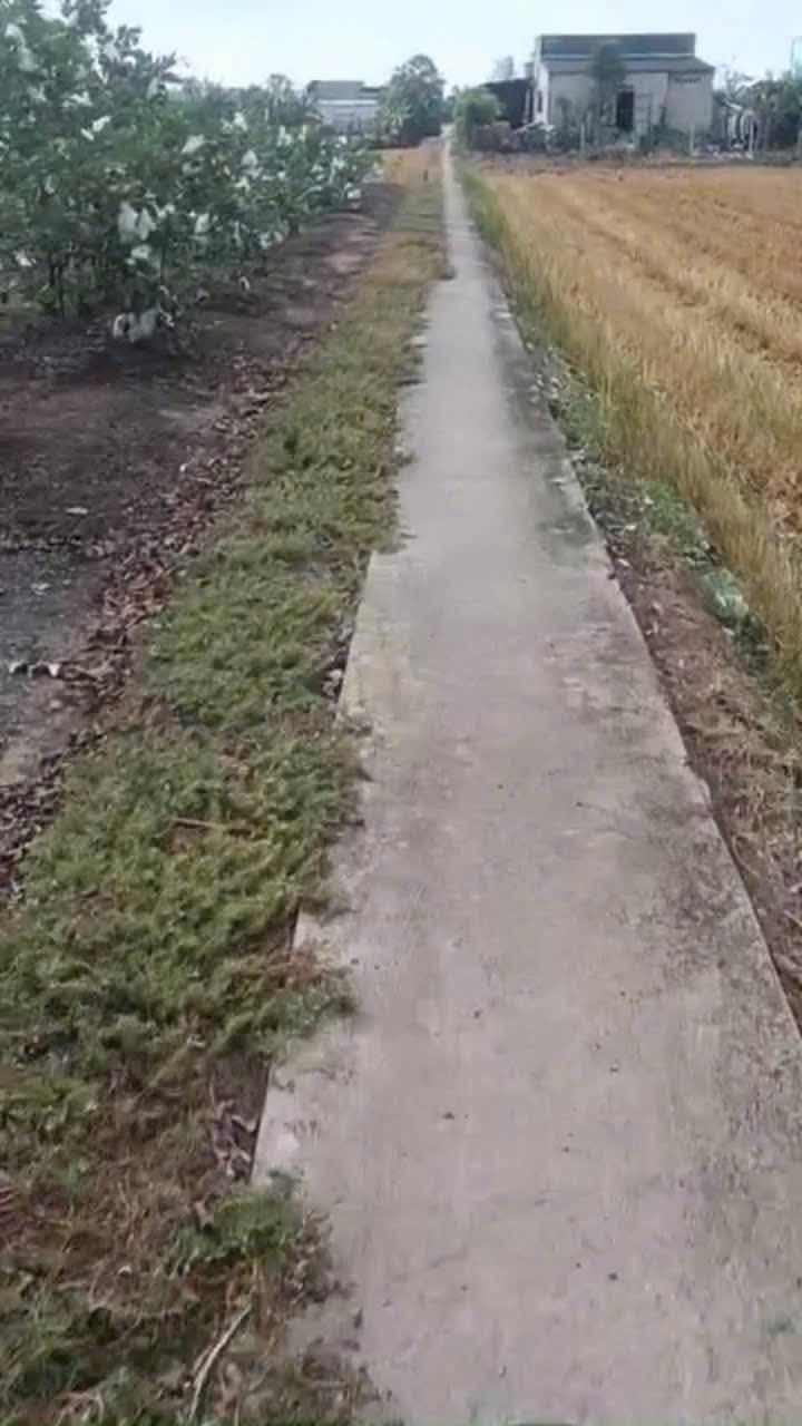 Đất nền 1.000m² tại Tân Trung, Đồng Tháp - Giá chỉ 400 triệu VND - Sổ đỏ chính chủ!