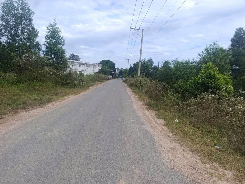 Đất nông nghiệp mặt tiền nhựa Đất Cuốc - Bắc Tân Uyên 5,3 ha giá chỉ 66,25 tỷ