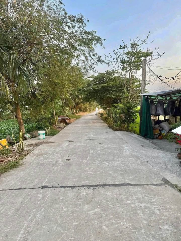 Đất nền Tân Điền, Giục Tượng 368m² giá chỉ 400 triệu - Cơ hội đầu tư hấp dẫn!