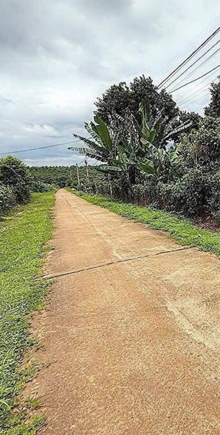 Đất thổ cư Hòa Nam, Di Linh 280m² giá 590 triệu - Cơ hội đầu tư hấp dẫn!