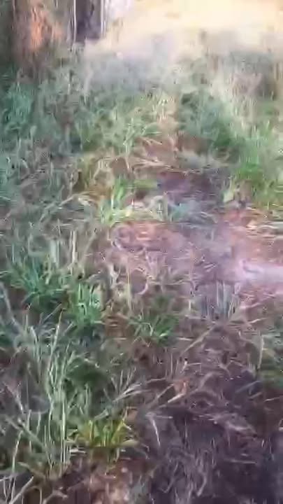 Đất nền 2480m² xã Tân Phú Trung - Giá chỉ 300 triệu - Cơ hội đầu tư hấp dẫn!