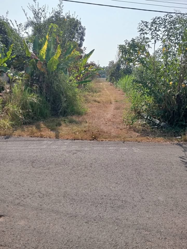 Đất nông nghiệp 2400m² tại Sông Thao, Đồng Nai giá chỉ 750 triệu - Cơ hội đầu tư tuyệt vời!