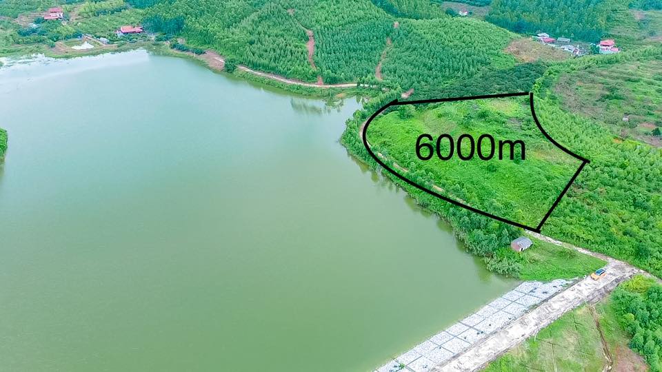 Đất Rừng Sản Xuất tại Đông Phú, Lục Nam 6000m² giá 1.4 tỷ - Sổ hồng chính chủ