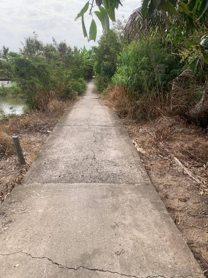 Đất nền xã Hòa Tú 1, huyện Mỹ Xuyên 1050m² giá 525 triệu - Sổ đỏ chính chủ!