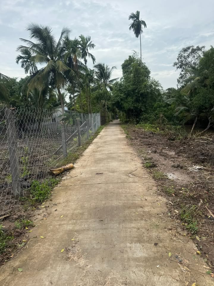 Đất thổ cư 564m² tại Thới An Hội, Kế Sách - Giá chỉ 390 triệu - Sổ hồng riêng!