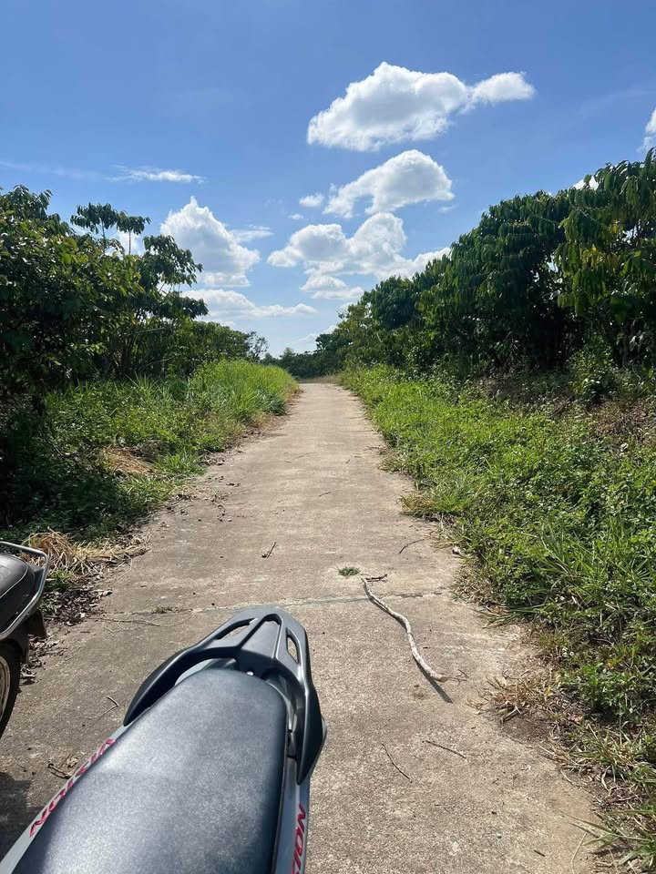 Đất nền hẻm Đoàn Thị Điểm - Lộc Thanh 360m² giá 1.15 tỷ - Mặt tiền đường bê tông rộng rãi!