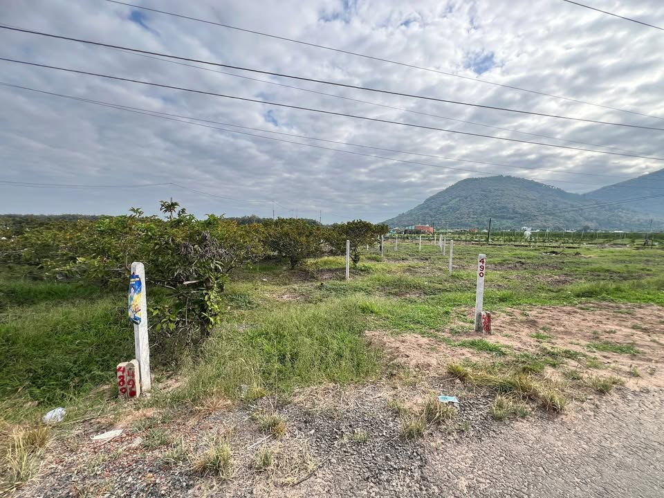 Đất nền khu dân cư Phường Ninh Sơn, TP. Tây Ninh 135m² - Đường nhựa 20m, View núi phong thủy đẹp